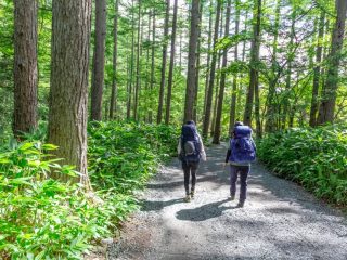 「高尾山」は普段着で登って大丈夫？ 登山用の装備をそろえるべき？ 相場や登山の注意点を解説