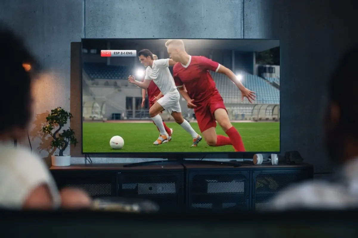 やっぱりスポーツ中継は大画面で見たい！ 大型4Kテレビにかかる維持費は月いくら？