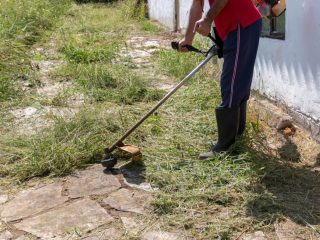 定年後は健康のことも考えて「除草作業員」をしようと考えています。月収はいくらくらいでしょうか？