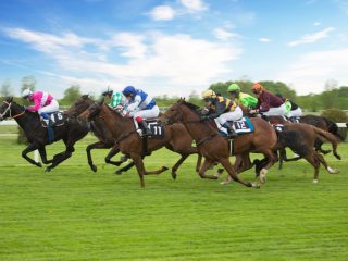 天皇皇后両陛下も観戦！「天皇賞」の驚くべき売上や競馬のお金にまつわる仕組みを解説