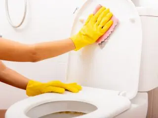 トイレ掃除の便座クリーナーを「雑巾」や「トイレットペーパー」に変えたらいくら節約できる?