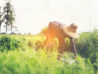 親が「定年後に地方移住したい」と言っています。生活費は大して安くならないようで、どの費用が高くなるのでしょうか？