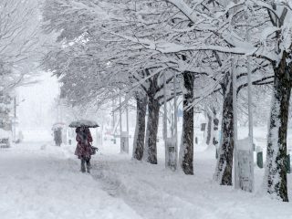 「大雪予報」でパート先が休業すると言われました。想定外の休みは家計に響くのですが、「その分の給料」は本当に出ませんか…？