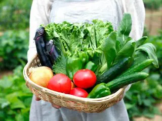 実家が農家なので大量に「野菜」を送ってくれますが、食べきれない分は「安価で売ろう」と思います。問題ないですよね？