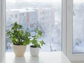 【雪国仕様】断熱効果が高いといわれる「二重窓」は節約につながるの？導入にかかる費用はいくら？