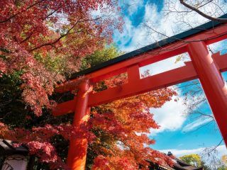 祖母が「厄年だから神社へ行け」としつこいです。今年「大厄」なら行ったほうがいいですか？ 神社にはいくら渡せばいいでしょうか？