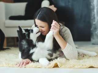 【癒やしの権化】バツイチのアラサーです。「犬」を飼いたいのですが、今のアパートは「ペット禁止」です。ペット可アパートの家賃相場はどのくらいですか？