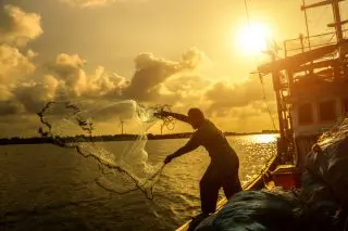稼げると有名なマグロ漁師を目指していましたが、時代はカニ漁師だと聞きました。それぞれの収入はどれくらいですか？
