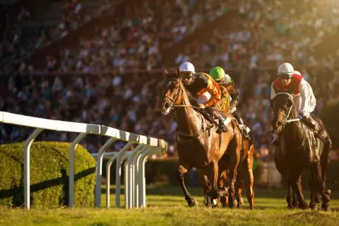 私の友人は「競馬」で生計を立てているようです。正直信じられないのですが、やりようによっては「可能」なのでしょうか？