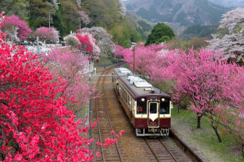 大手町勤務で「コスパ最強の駅」とは？ 利便性・家賃をもとに解説