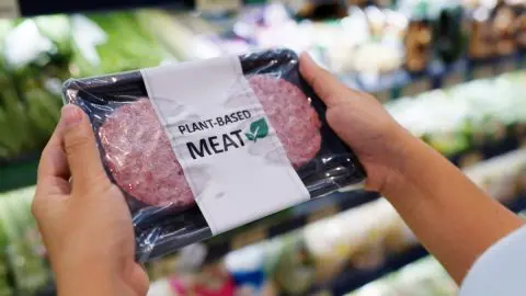 最近よく聞く「代替肉」とは？肉じゃないから「安くて健康にもよい」って本当？