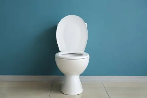 「水道代がもったいないから」とトイレの小では水を流さない夫…1日3回流したら水道代は1ヶ月でいくらかかりますか？
