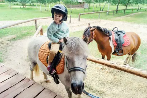 小学生の子どもが乗馬を習いたがっているのですが、お金持ちのスポーツというイメージが……。費用はどれくらいかかるのでしょうか。