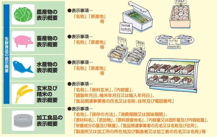 図表1