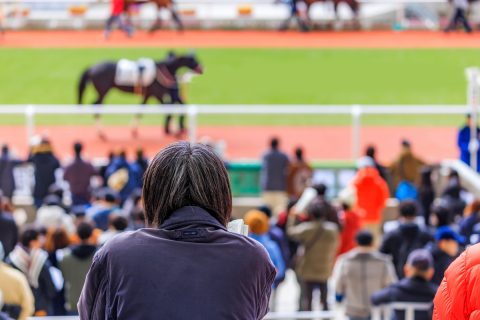 「パチンコ」と「競馬」で合わせて50万円勝ったという友人。税金は発生しないのでしょうか？