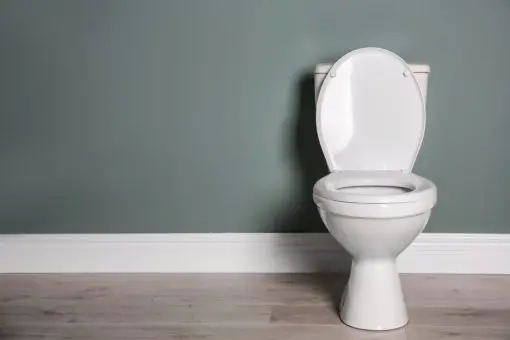 トイレの「大」と「小」1回あたりの水道代はそれぞれいくら？
