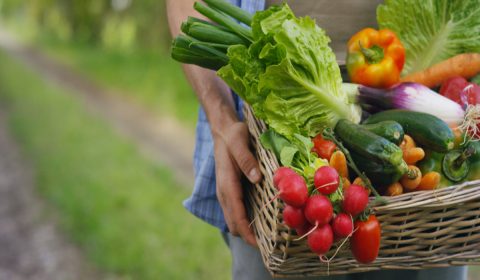 70歳の母が畑で採れた野菜を送ってくれました。「年金が少ないので育てた野菜を食べている」と話す母に仕送りしたいのですが、税金はかかりますか？