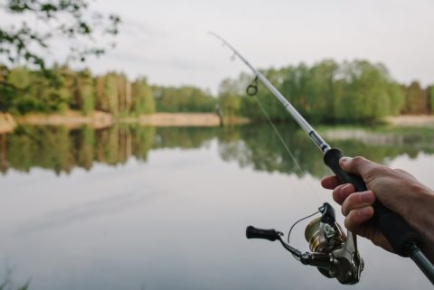 節約の一環で「釣り」を始めたいのですが、知り合いに「密漁になるからやめておけ」と言われ不安です。“持ち帰りNGな魚”などもあるのでしょうか…？