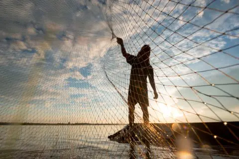 釣りだと非効率なので「投網」をして魚をゲットしようと思います。これって「密漁」になりますか？法的に大丈夫ですか？