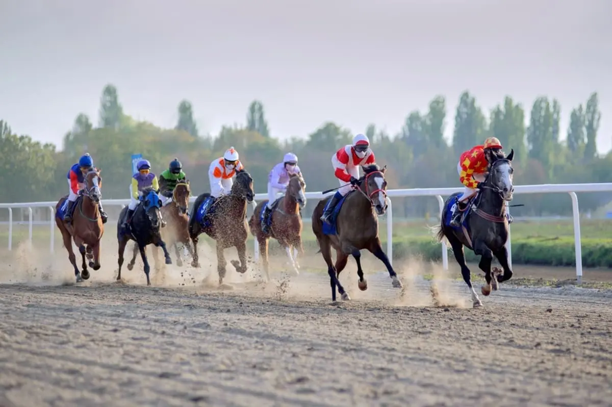 今年は競馬で「100万円」の大当たり！ 友人に話したら「確定申告が必要」と言われたのですが、これって“税金”の対象になるんでしょうか…？