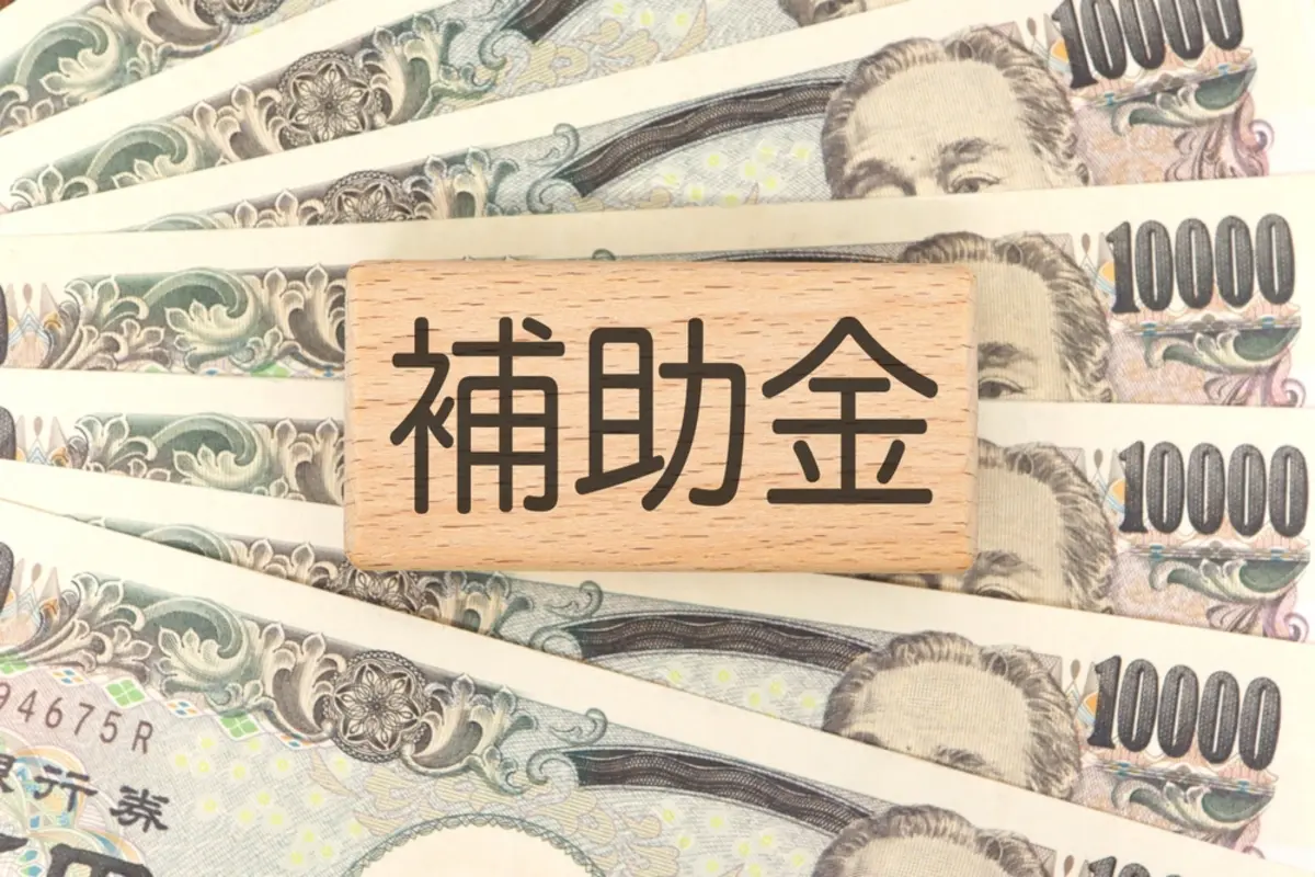 30代で手取り18万円。毎月ギリギリの生活をどうにかしたいです。生活保護に頼る前に、お金を借りられる公的な制度はありますか？