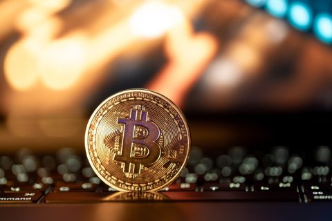 SNSで「2025年の仮想通貨・ビットコインは爆上げ」という投稿を見かけます。トランプ氏の就任も追い風らしいですが、なぜ「値上がり」すると分かるのでしょうか？