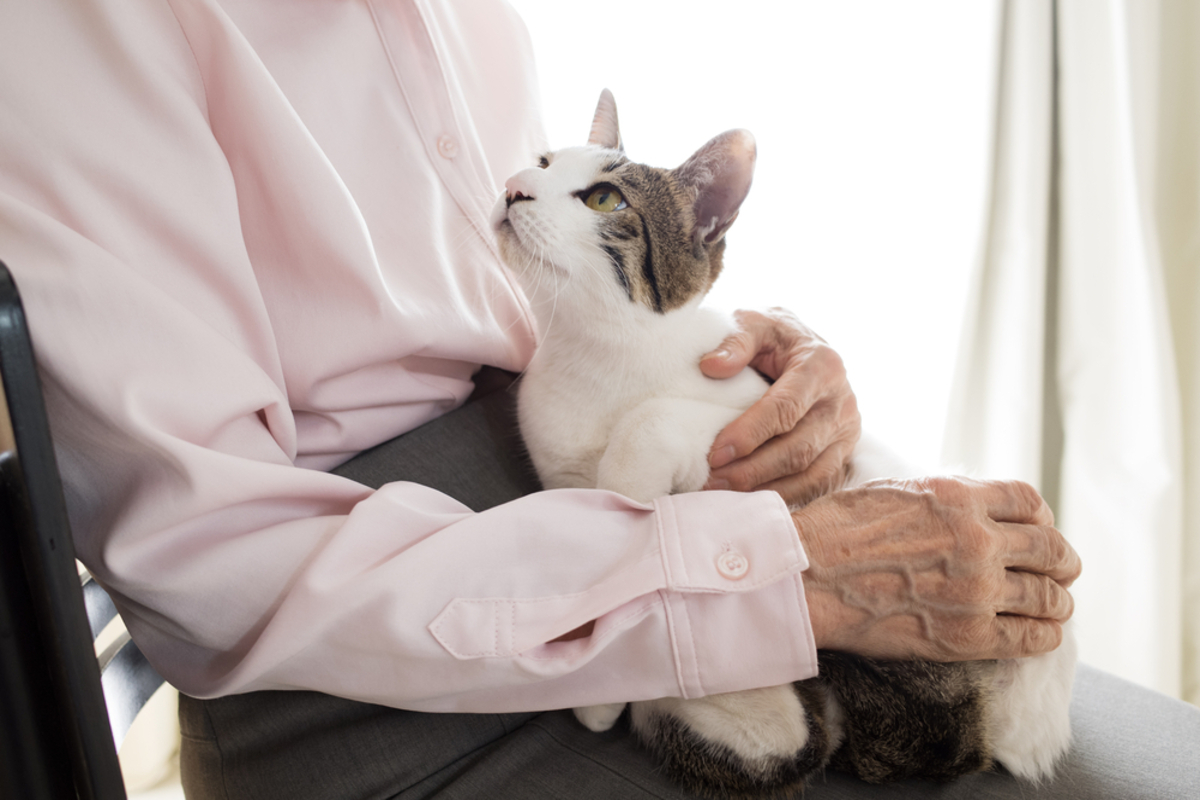 80代の親には愛猫がいます。「ペットも一緒に埋葬できるところがあるらしいから樹木葬にしたい」と言うのですが、樹木葬にデメリットはないのでしょうか？