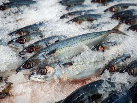 スーパーの鮮魚には「アニサキス」が入っている場合があるそうですが、「見分ける方法」はないのでしょうか？ もし当たったら、どこを「受診」すればよいのですか？