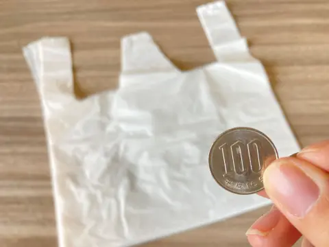 今度「京都市」に引っ越しをする予定です。京都市は「ゴミ袋が有料」とのことですが、年間だといくらくらいの負担になりそうですか？