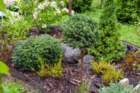 庭に樹をたくさん植えているお隣さんに「助成金」が出ると聞きました。“ミカンの木”や“柿の木”でも対象になるのでしょうか？