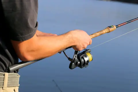 釣りでかかった「伊勢海老」の持ち帰りは禁止？持ち帰ろうとしたら地元の方に注意されたけど、密漁とみなされる？