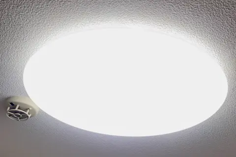 2泊3日の「沖縄旅行」から帰ると「リビングの電気」がつけっぱなしでした…！3日間「照明を消し忘れる」と、電気代はどの程度かかるのでしょうか？