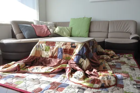 こたつでテレビを見ながら、朝まで寝てしまう…電気代も心配なのですが、体にもよくないですよね？