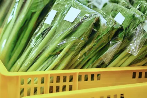 「スーパー」では「野菜の値上がり」が止まらない…「道の駅」ではどうなの？