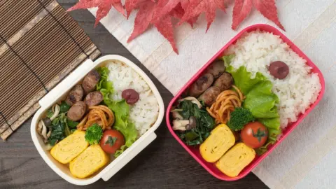 1回のお弁当にかける費用はどのくらい？ 平均額や人気のおかずについて解説