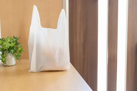 未だに「エコバッグ」を持つ習慣がありません…毎回「レジ袋」を購入していますが、1年でどれくらいの出費になっていますか？