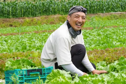 30代の息子が脱サラし「農家になる」と発言！ 収益は「年2000万円」超でも、経営費を引くとあまり残らない？“脱サラ農業”で覚悟すべきこととは