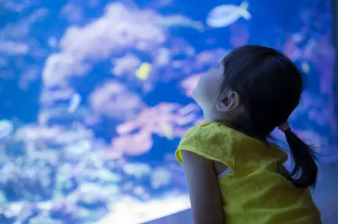 【実録】子どもが「幼稚園の遠足」で水族館に！→入館料150円なのに遠足代「4400円」も請求されたけど、どうしてそんなに高くなるの？ 内訳を確認