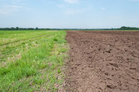 親が持っている「実家」や「田畑の土地」を相続したくありません。「相続放棄」をするデメリットはありますか？