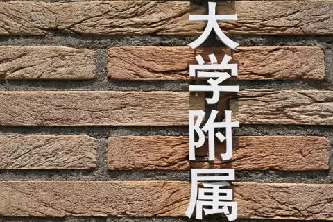 年末に子どもが生まれる予定です。教育熱心な義母は「有名大学の附属幼稚園」を勧めるのですが、「すべて私立」に行かせた場合いくらくらいの「教育費」が必要ですか？