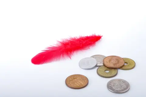 自治体で「赤い羽根募金」と「緑の羽根募金」を1万円ずつ行っているようです。何に使われている募金なんでしょうか？