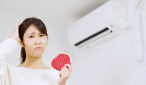 「昨年より電気代が高い」と感じています。政府の補助は今年の3月で終わったと聞きましたが、猛暑が予想される7月以降に再開はあるのでしょうか？