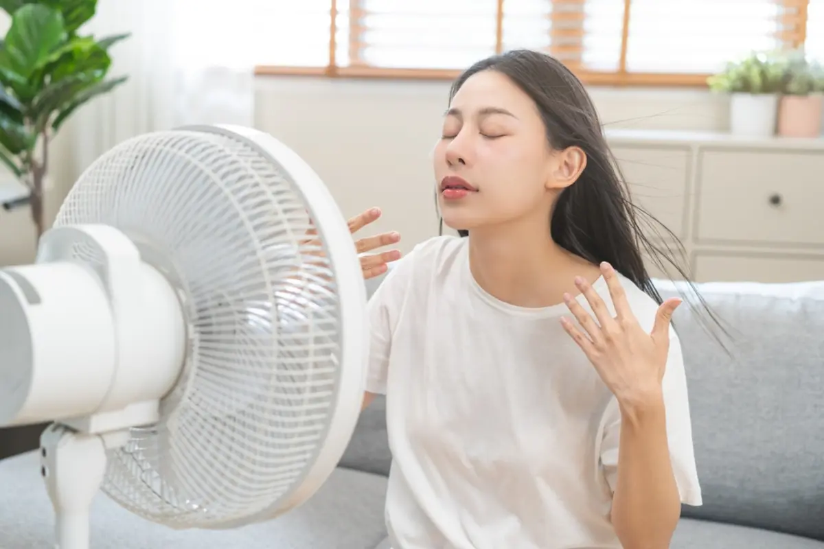 暑さ対策で迷う…「扇風機」と「サーキュレーター」、電気代を節約できるのはどっち？