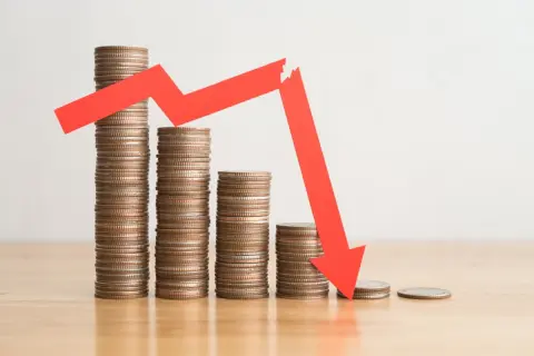 「国民年金保険料」を安くすることはできますか？ フリーランスで不規則収入なので、少しでも負担を軽減したいです