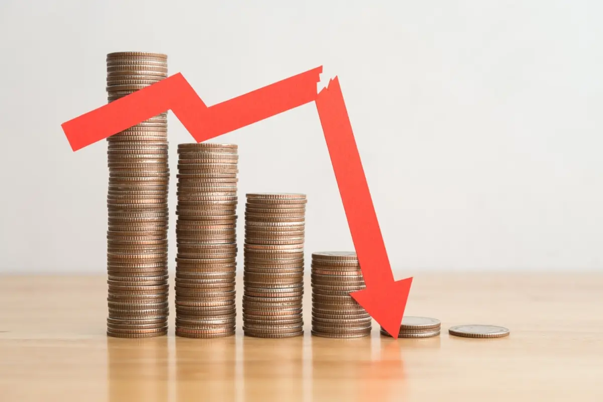 「国民年金保険料」を安くすることはできますか？ フリーランスで不規則収入なので、少しでも負担を軽減したいです