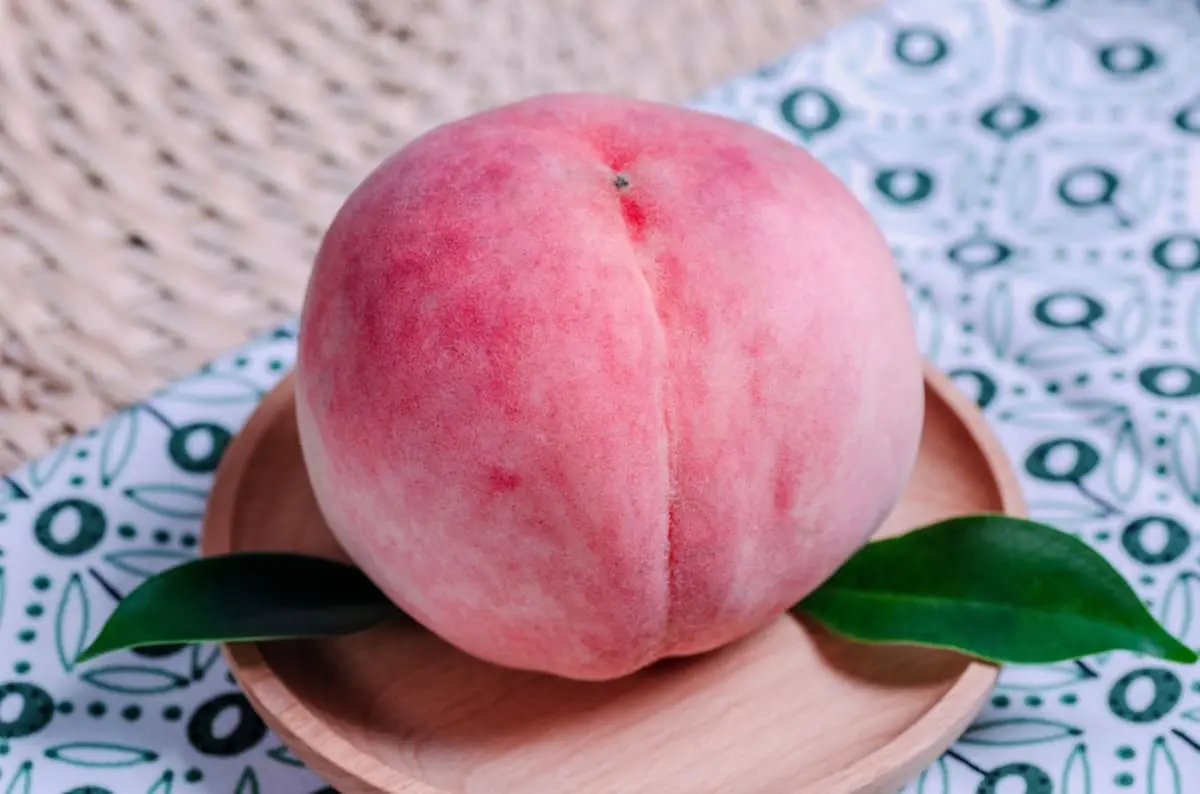 近所に「おいしい桃が6個500円」と売って回るトラックが！ スーパーだと「1個300円」ほどなのに、どうしてこんなに安いの？ 購入前にチェックすべきポイントとは