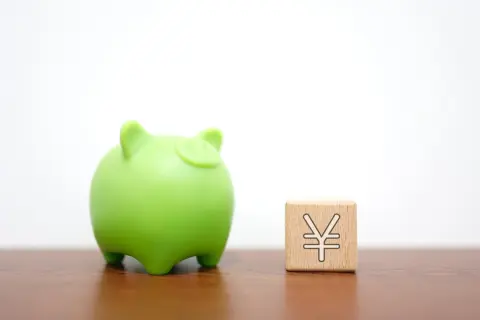 新卒1年目です。大学時代に「猶予」された「国民年金保険料」は“追納”しないとどうなるのでしょうか？