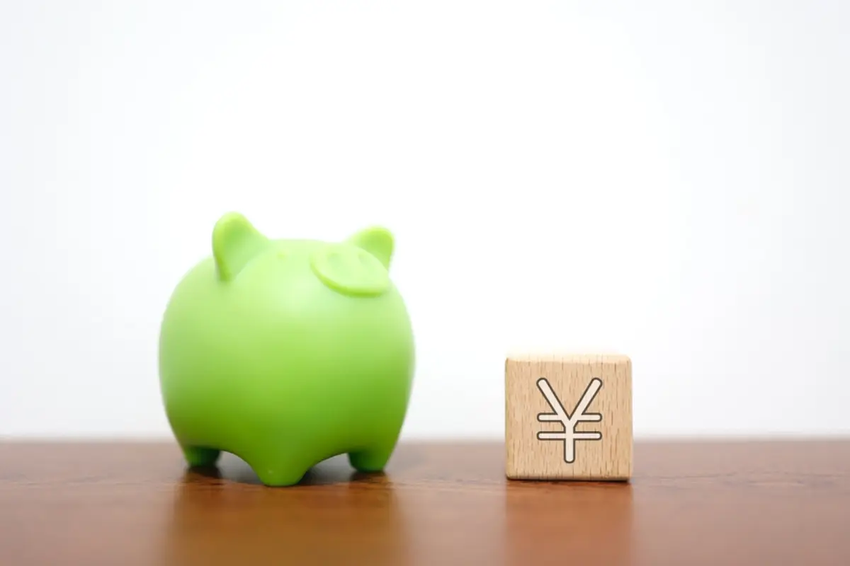 新卒1年目です。大学時代に「猶予」された「国民年金保険料」は“追納”しないとどうなるのでしょうか？