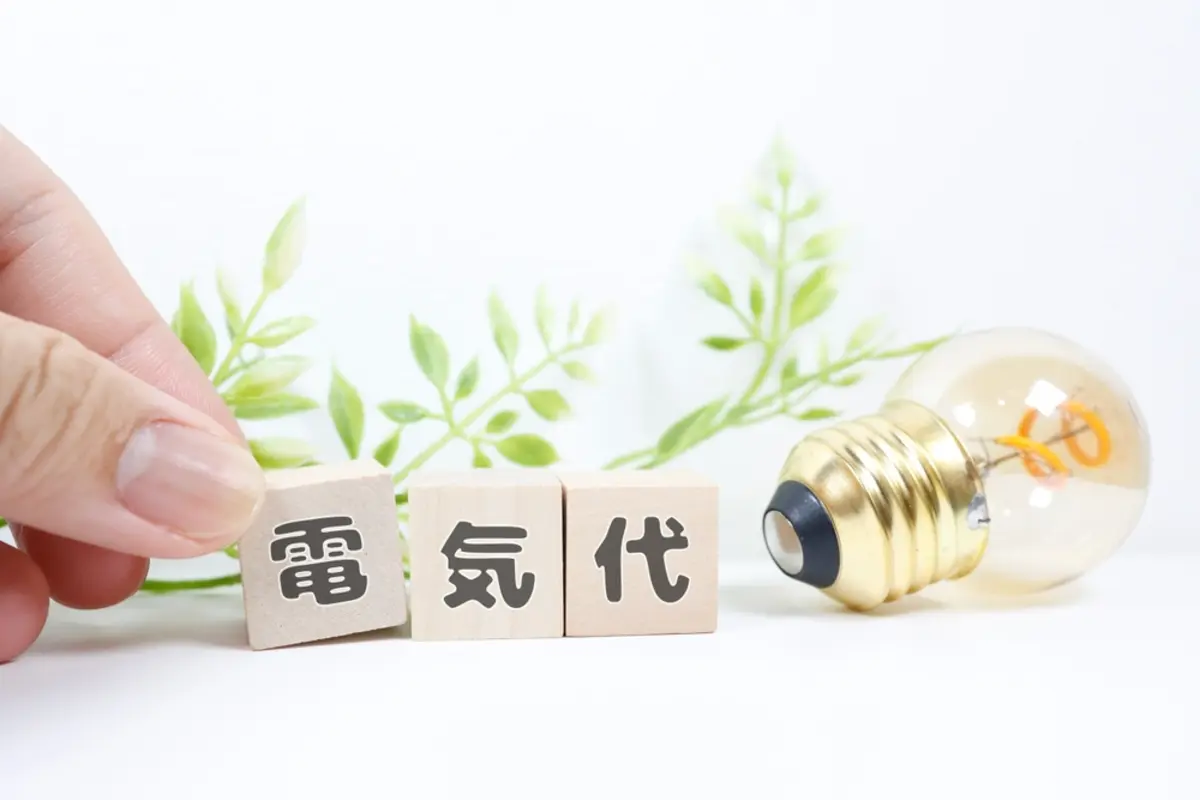 「夜間の電気代が安い」と聞いて“洗濯”や“料理”を夜にしてるけど、本当に安くなってる？ 時間帯で料金が変わるってどういう仕組みなんでしょうか？