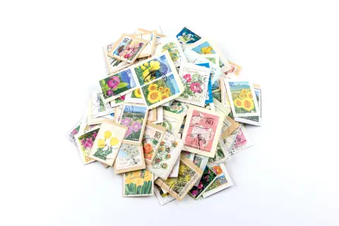 祖父のアルバムに昭和24年の「月に雁の切手シート」が挟まっていました。売れば「3万円以上」になると聞いたのですが、本当でしょうか？